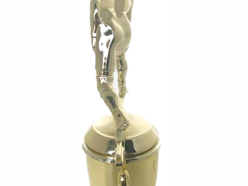 Wrestler All Star Male Trophy 290mm