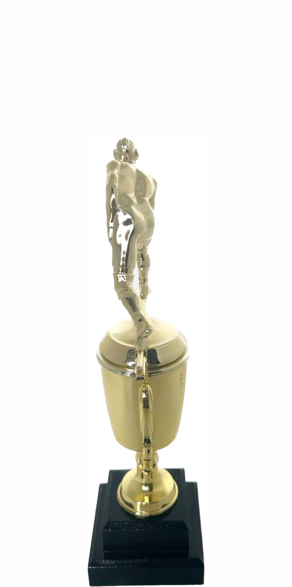Wrestler All Star Male Trophy 290mm