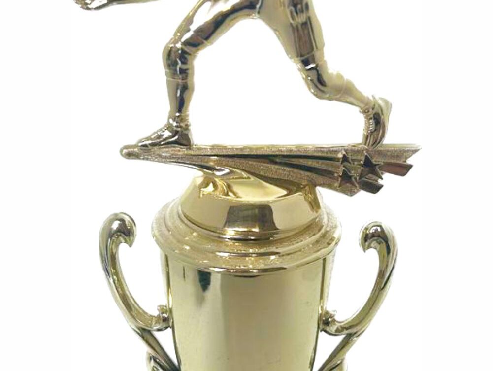 Wrestler All Star Male Trophy 330mm