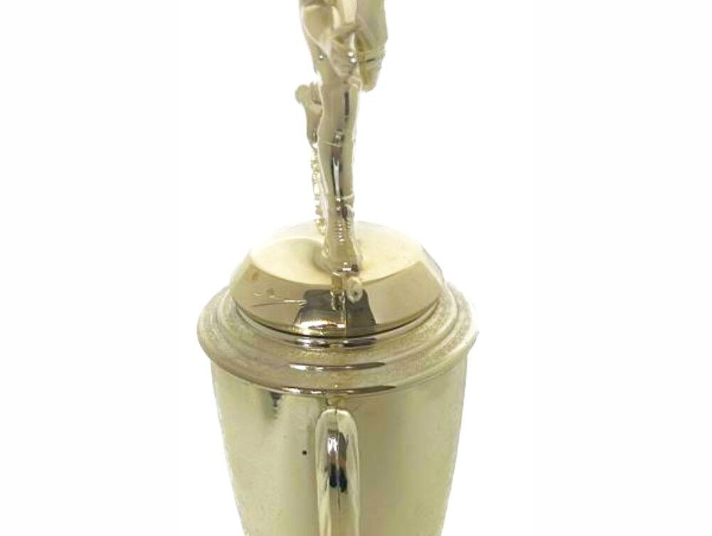 Wrestler All Star Male Trophy 330mm