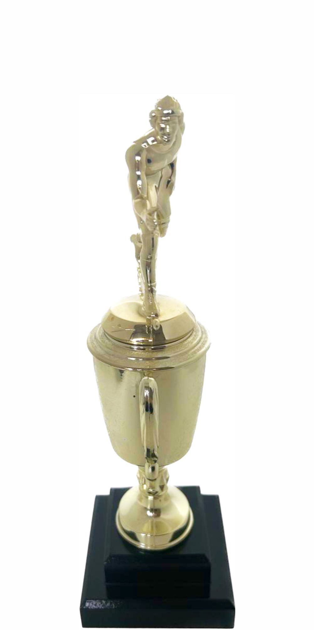 Wrestler All Star Male Trophy 330mm