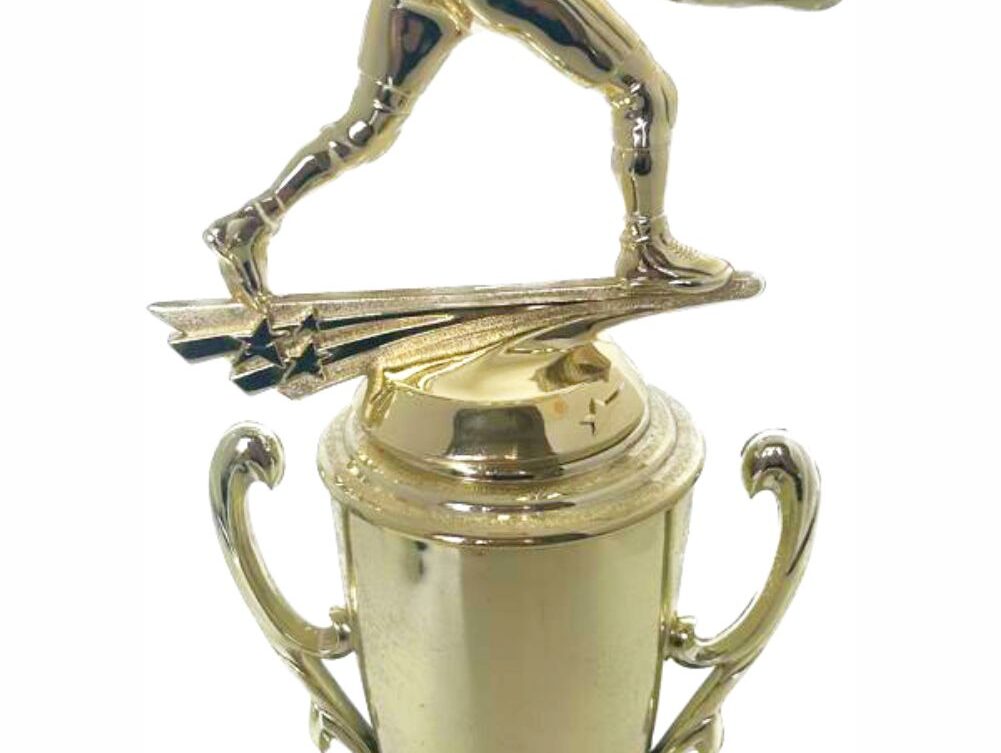 Wrestler All Star Male Trophy 330mm
