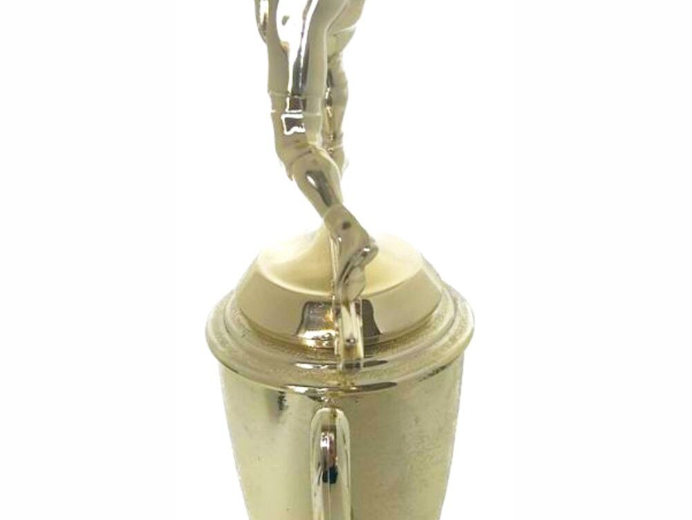 Wrestler All Star Male Trophy 330mm