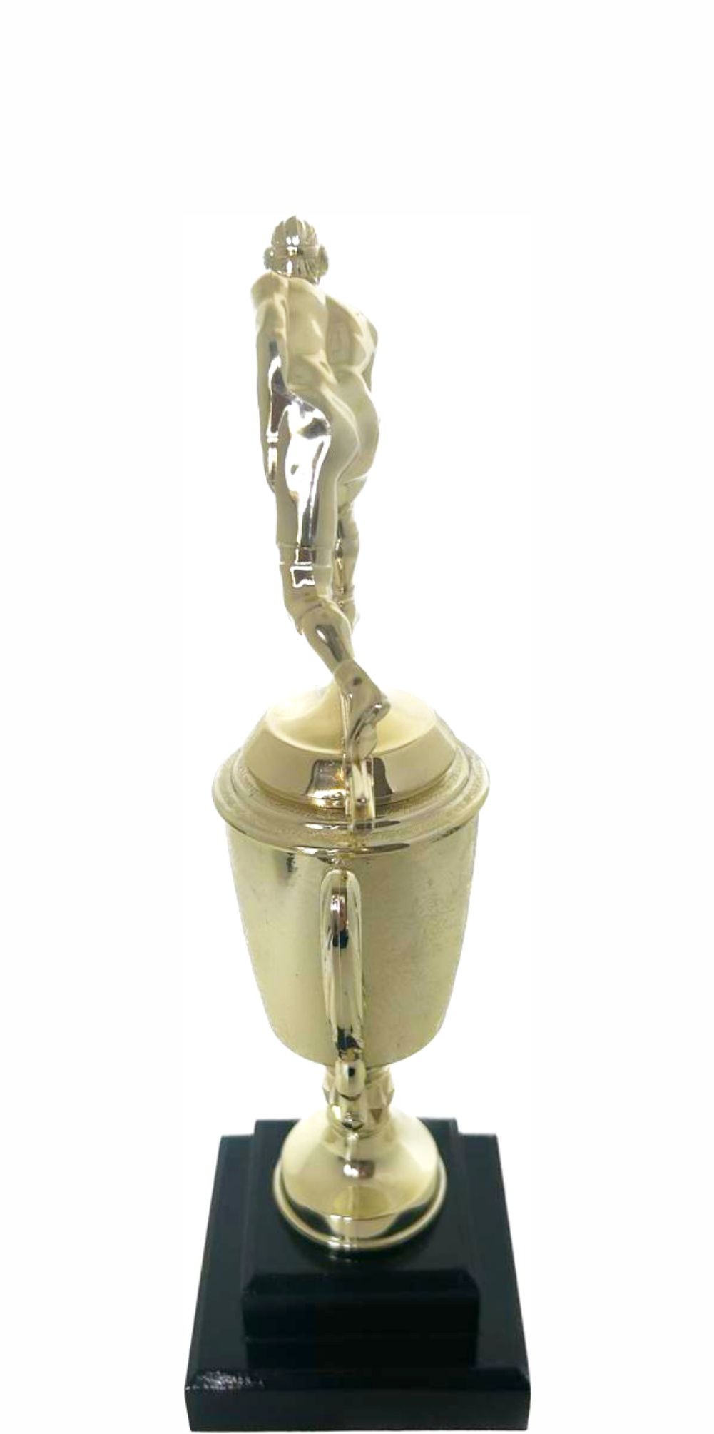 Wrestler All Star Male Trophy 330mm