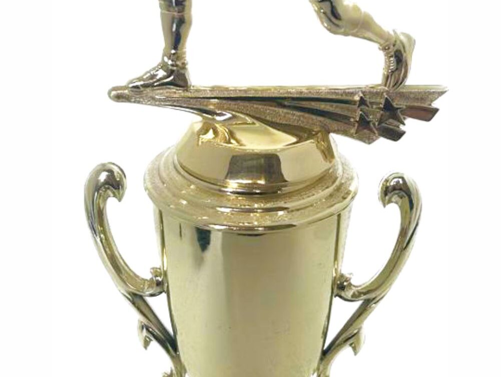 Wrestler All Star Male Trophy 370mm
