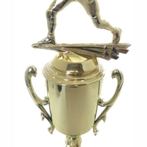 Wrestler All Star Male Trophy 370mm