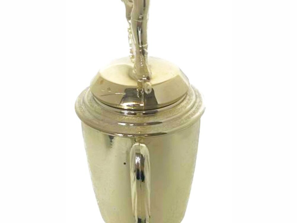 Wrestler All Star Male Trophy 370mm