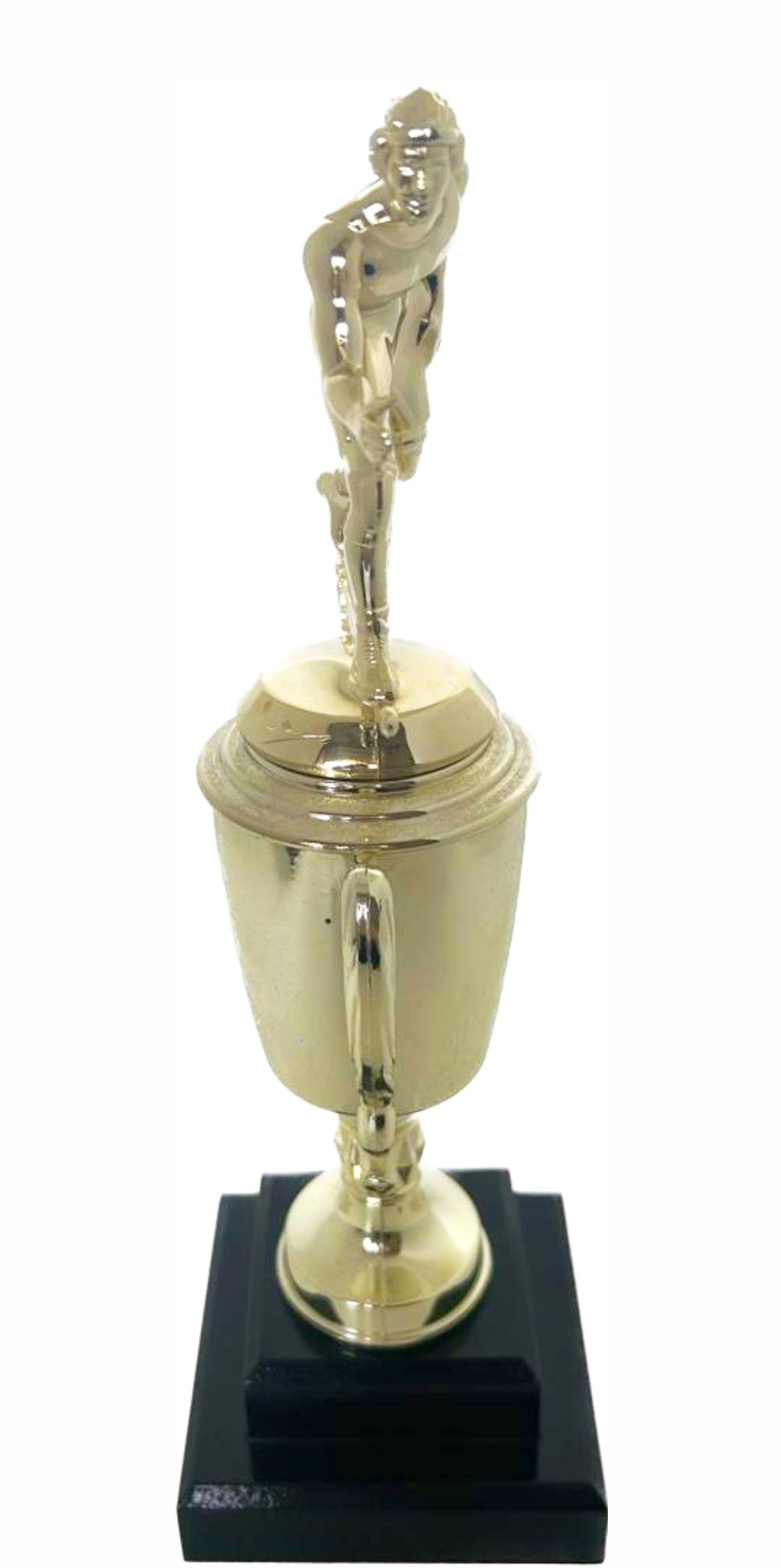 Wrestler All Star Male Trophy 370mm