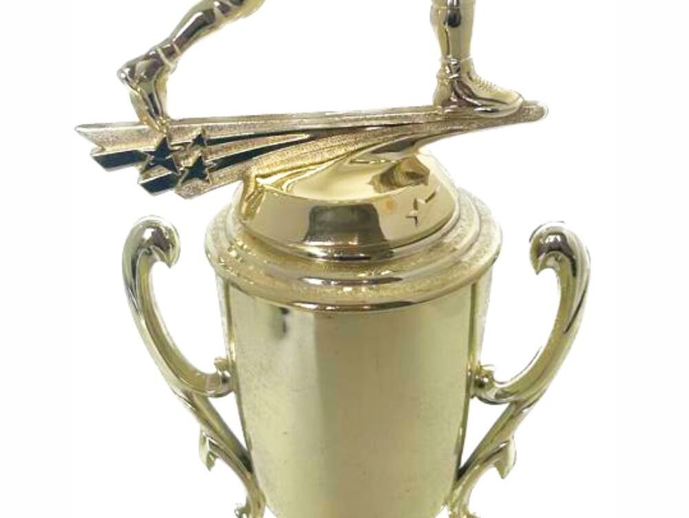 Wrestler All Star Male Trophy 370mm