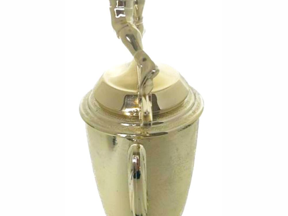 Wrestler All Star Male Trophy 370mm