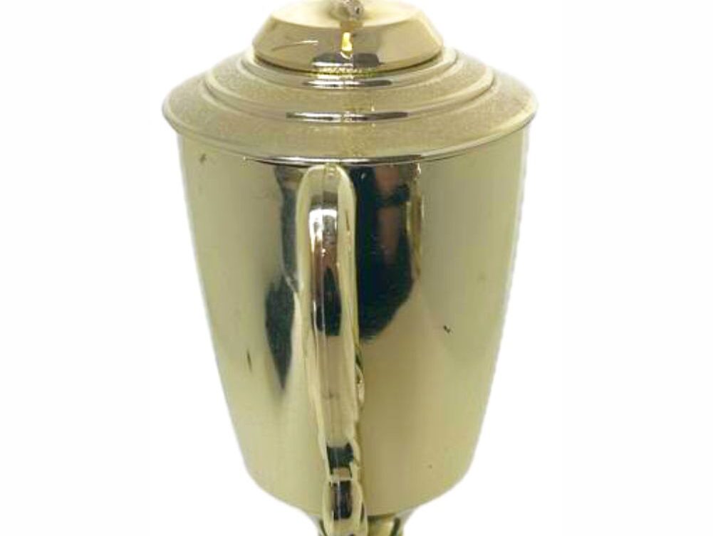 Wrestler All Star Male Trophy 410mm