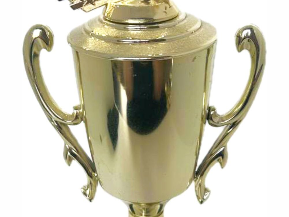 Wrestler All Star Male Trophy 410mm