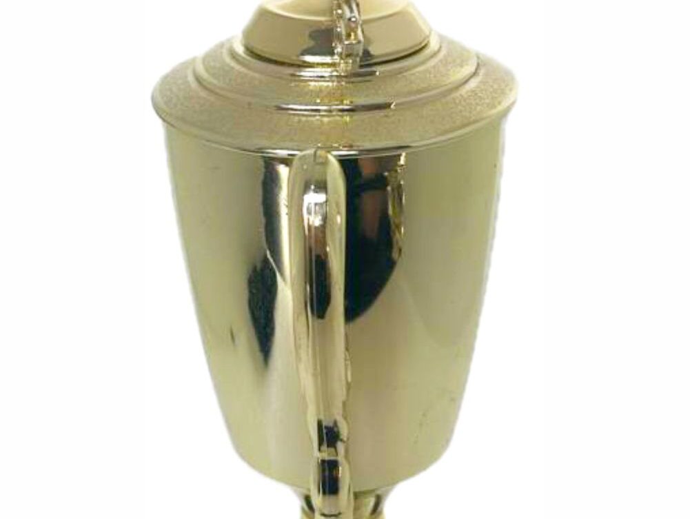 Wrestler All Star Male Trophy 410mm