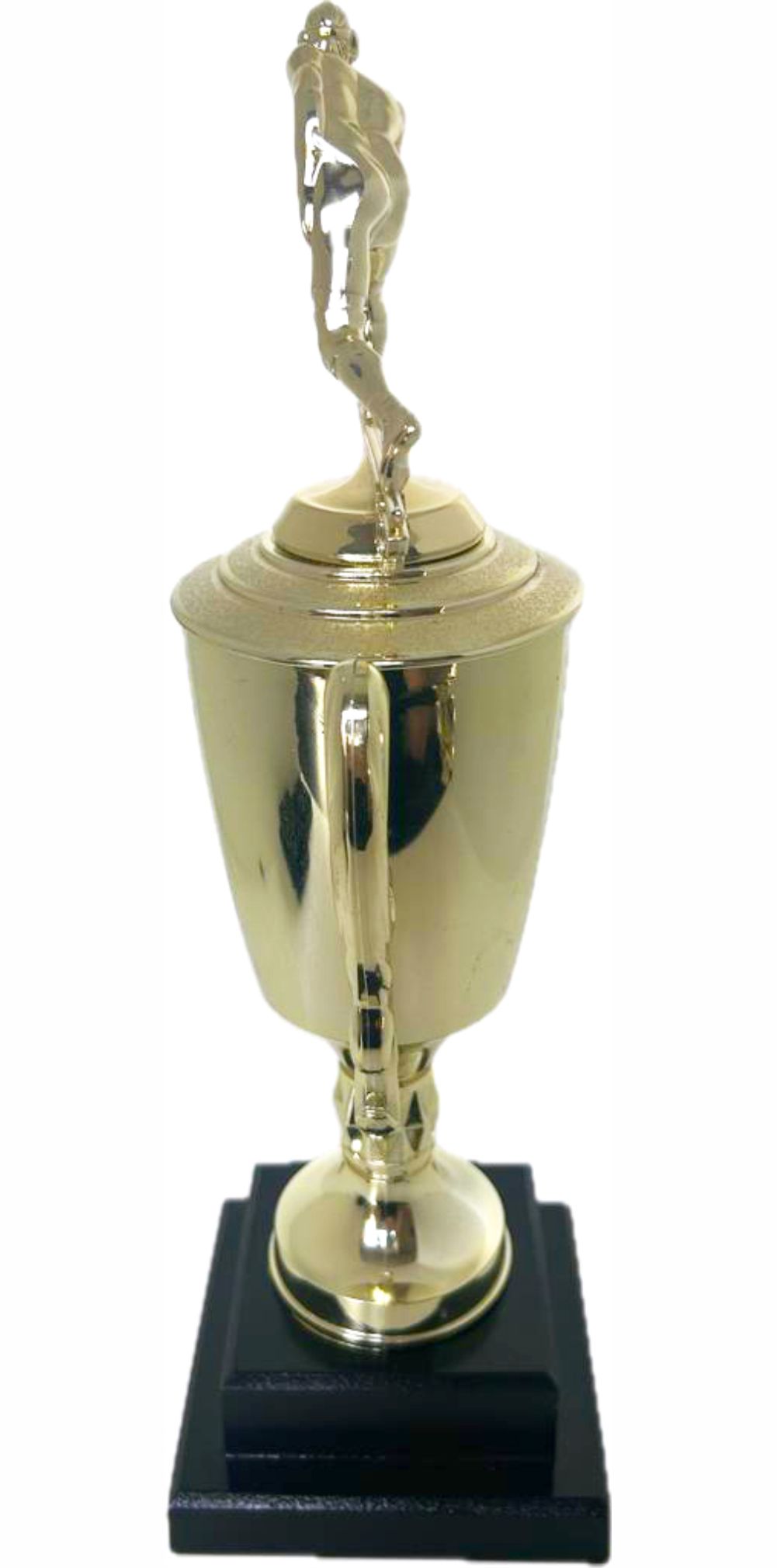 Wrestler All Star Male Trophy 410mm