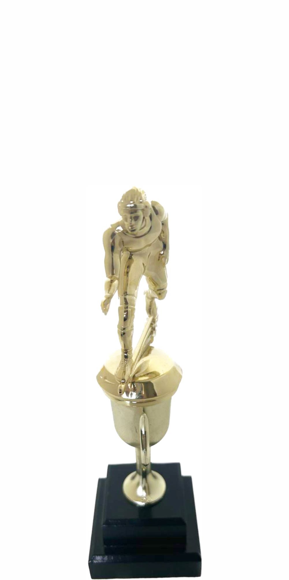 Wrestler All Star Male Trophy 265mm (Copy)