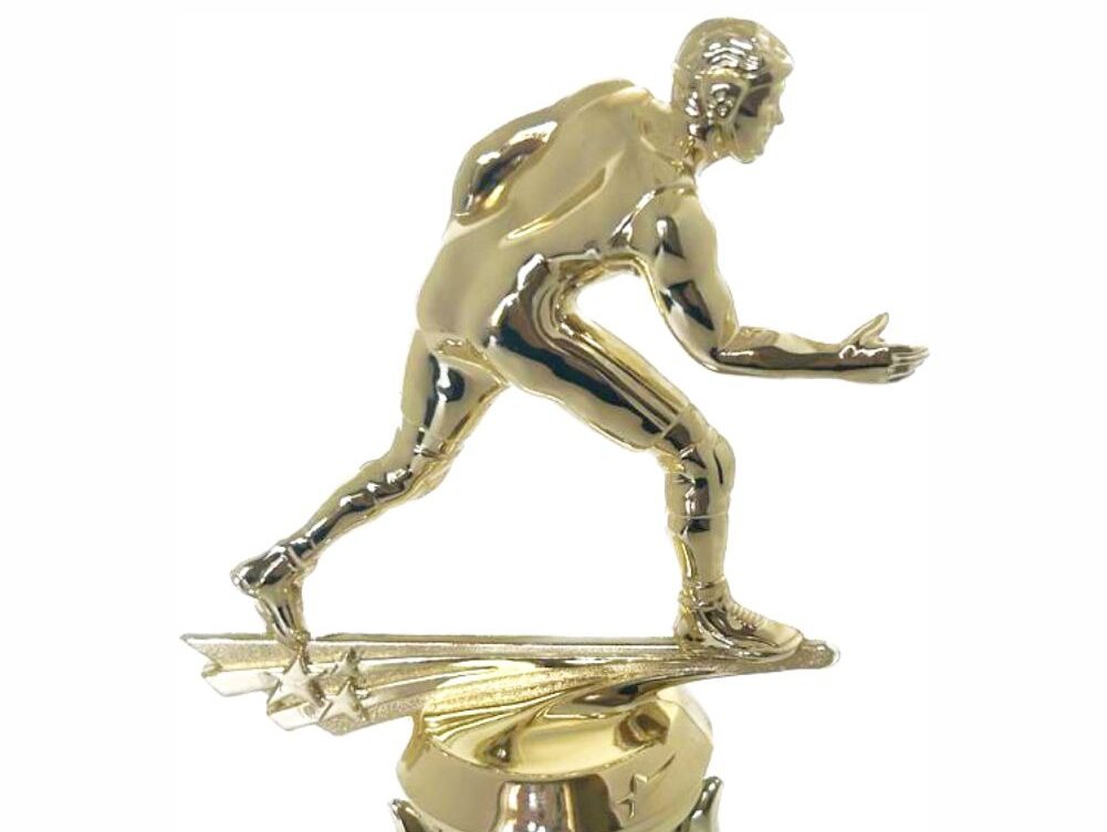 Wrestler All Star Male Trophy 265mm (Copy)