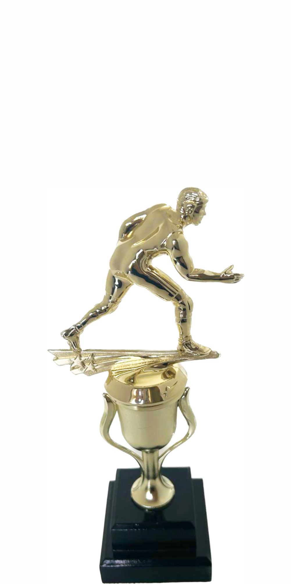 Wrestler All Star Male Trophy 265mm (Copy)