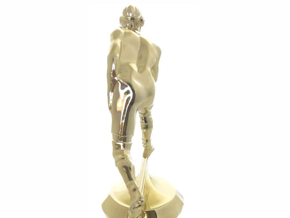 Wrestler All Star Male Trophy 265mm (Copy)