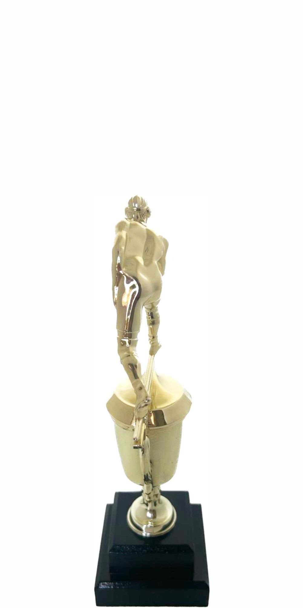 Wrestler All Star Male Trophy 265mm (Copy)