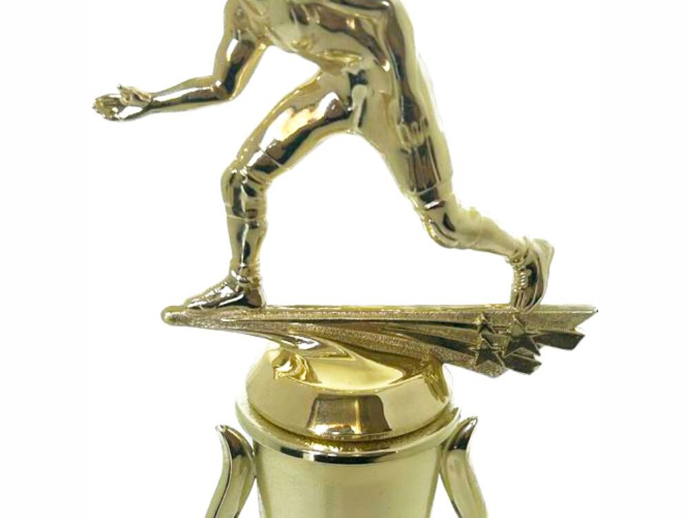 Wrestler All Star Male Trophy 290mm