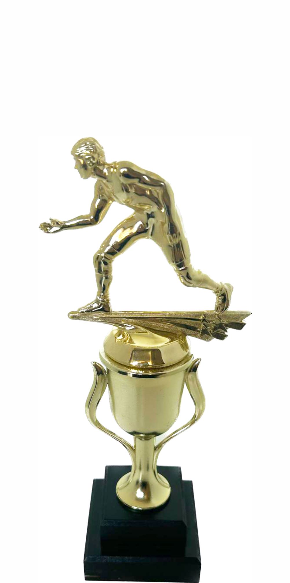 Wrestler All Star Male Trophy 290mm