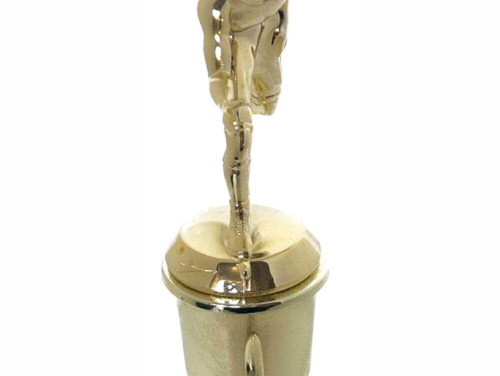 Wrestler All Star Male Trophy 290mm