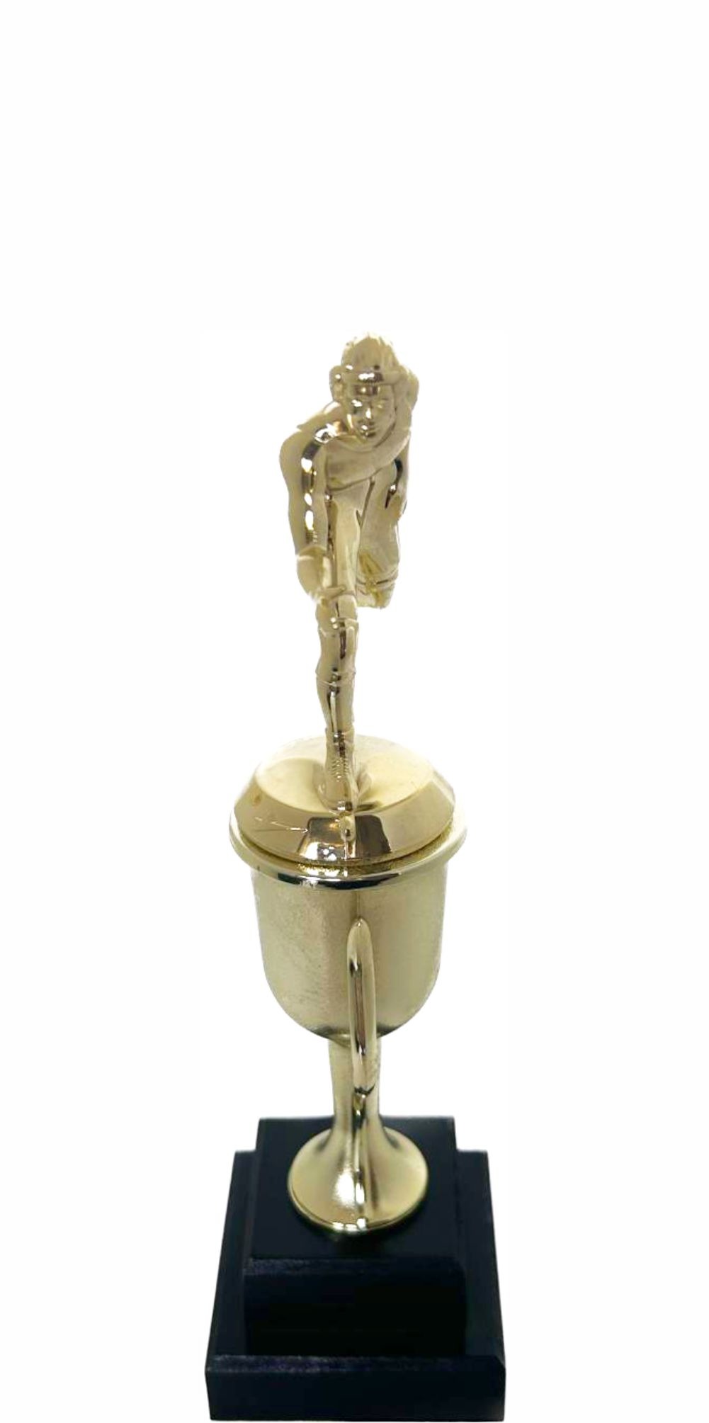 Wrestler All Star Male Trophy 290mm