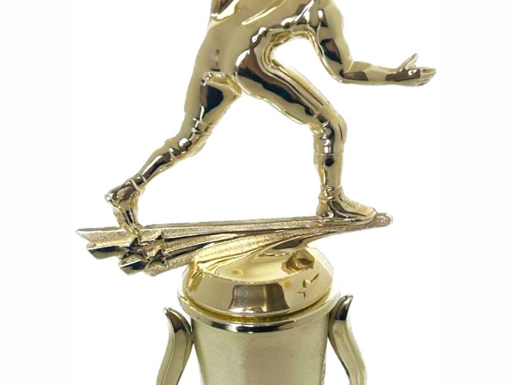 Wrestler All Star Male Trophy 290mm