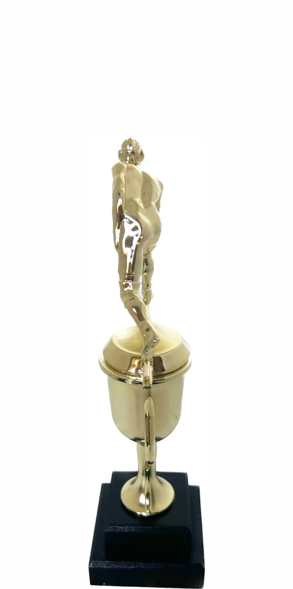Wrestler All Star Male Trophy 290mm