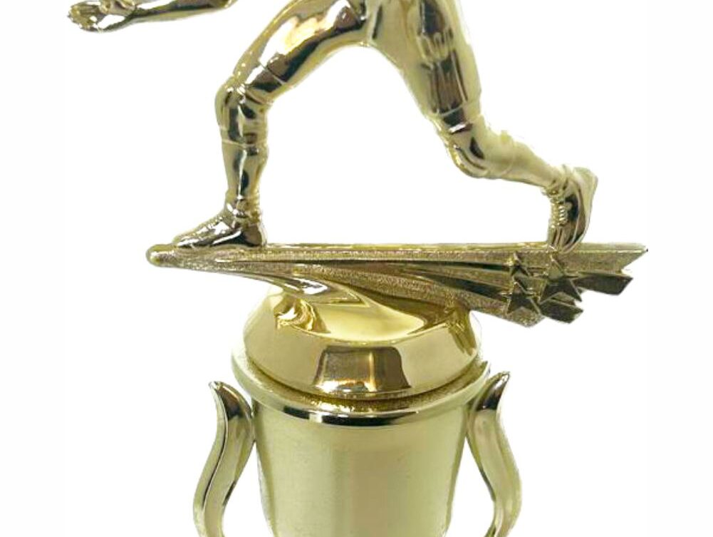 Wrestler All Star Male Trophy 330mm