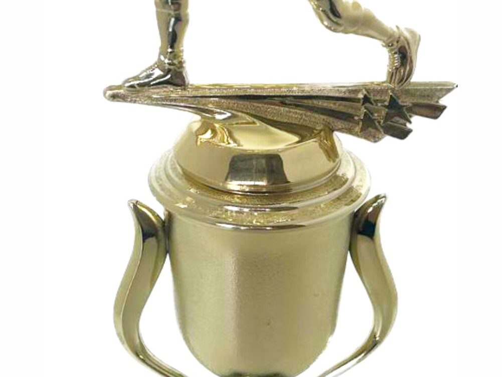 Wrestler All Star Male Trophy 370mm