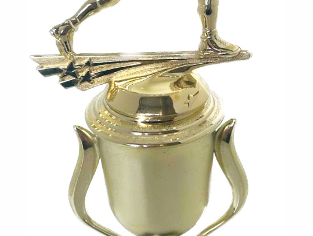 Wrestler All Star Male Trophy 370mm