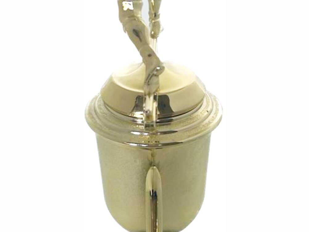 Wrestler All Star Male Trophy 370mm