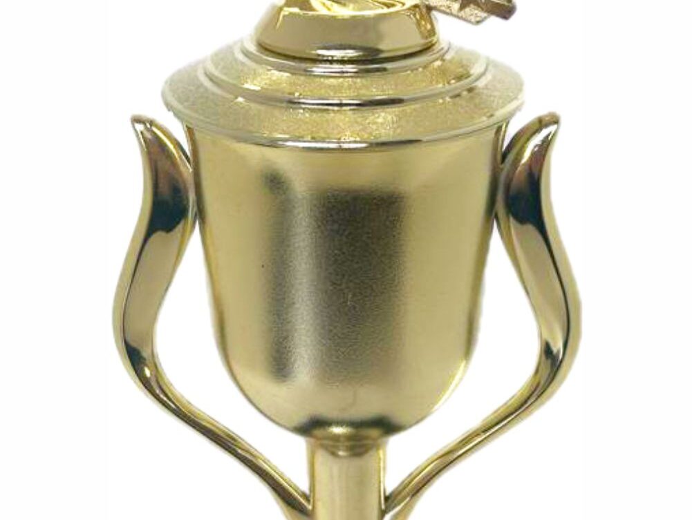Wrestler All Star Male Trophy 410mm