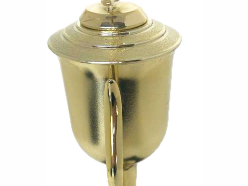 Wrestler All Star Male Trophy 410mm