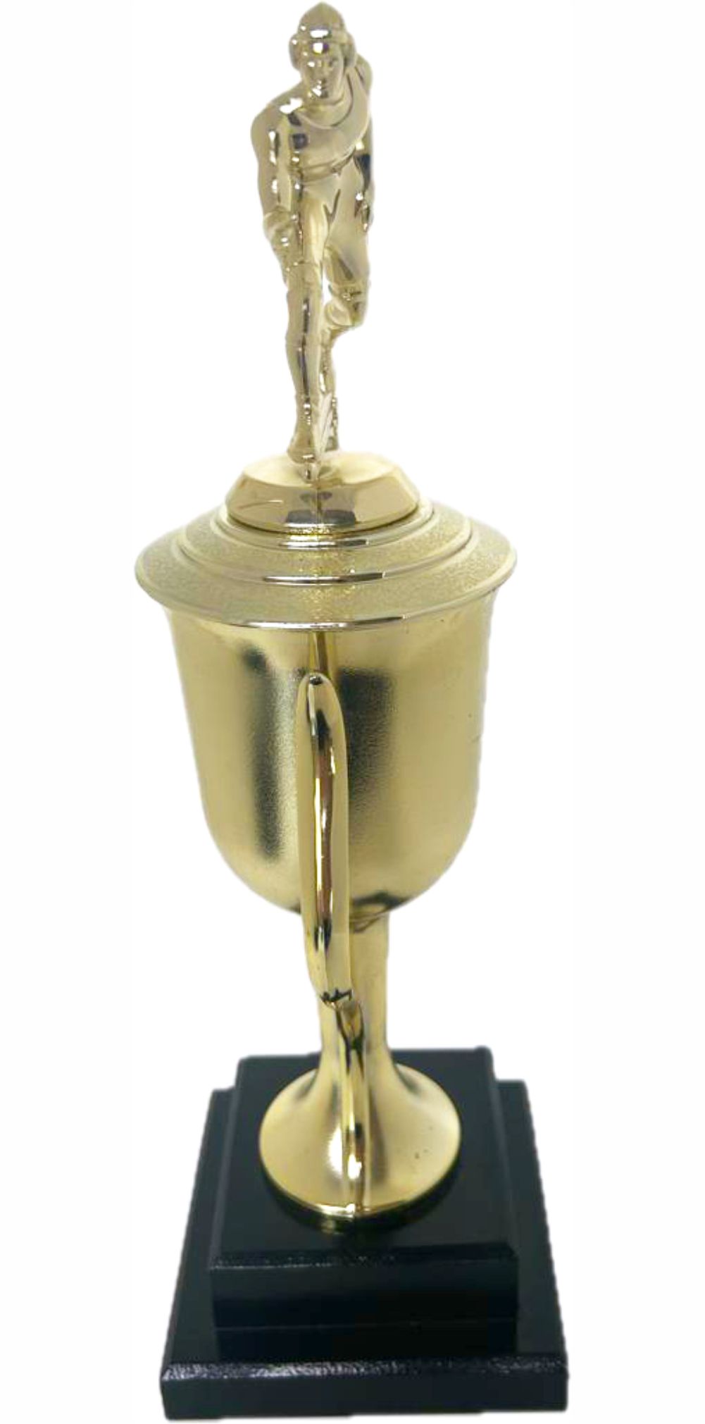 Wrestler All Star Male Trophy 410mm