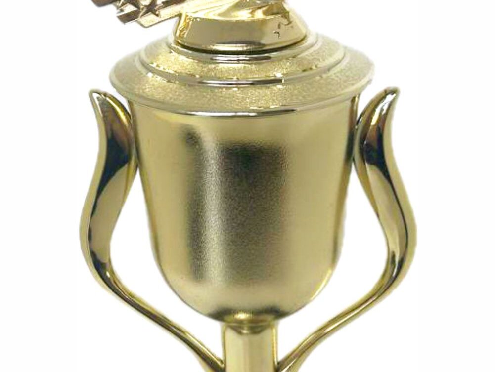 Wrestler All Star Male Trophy 410mm