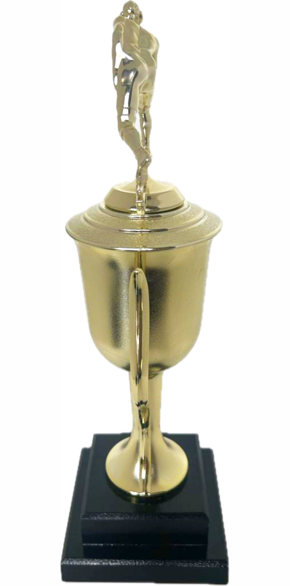 Wrestler All Star Male Trophy 410mm