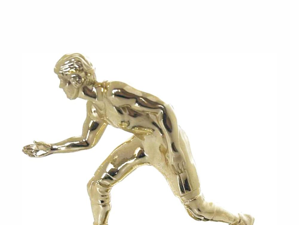 Wrestler All Star Male Trophy 180mm