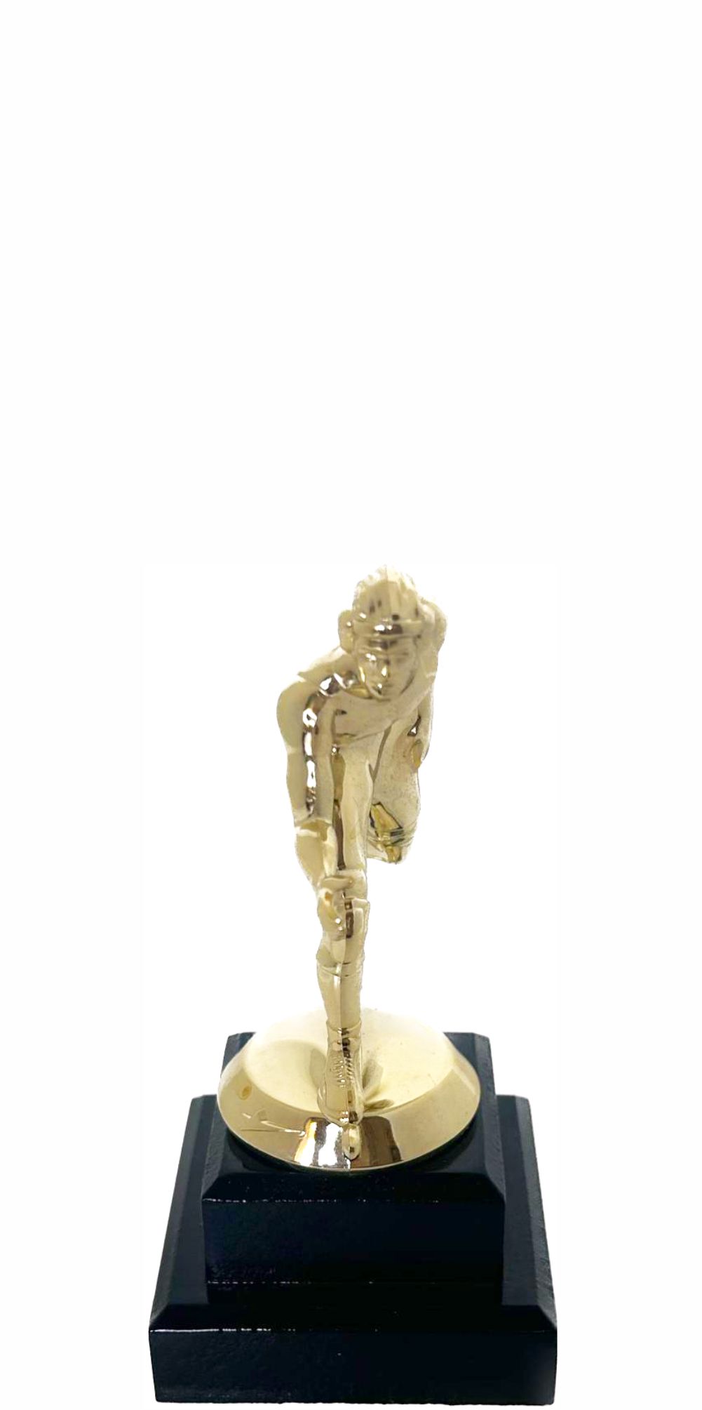 Wrestler All Star Male Trophy 180mm