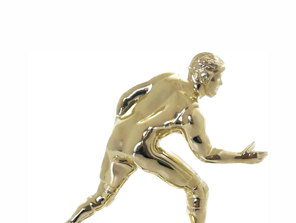 Wrestler All Star Male Trophy 180mm