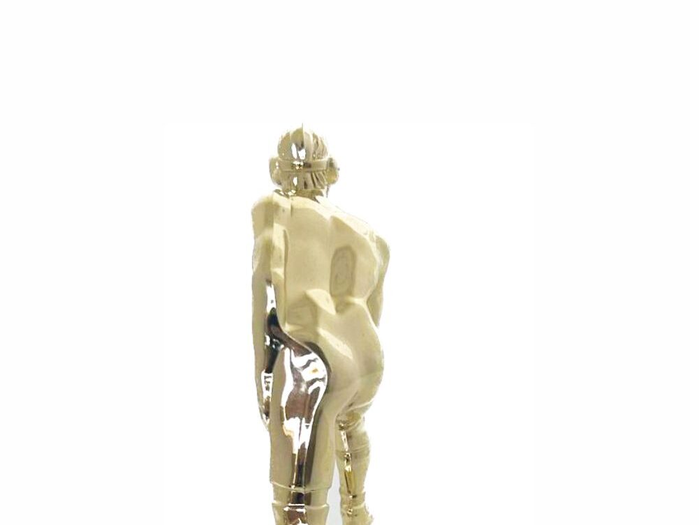 Wrestler All Star Male Trophy 180mm