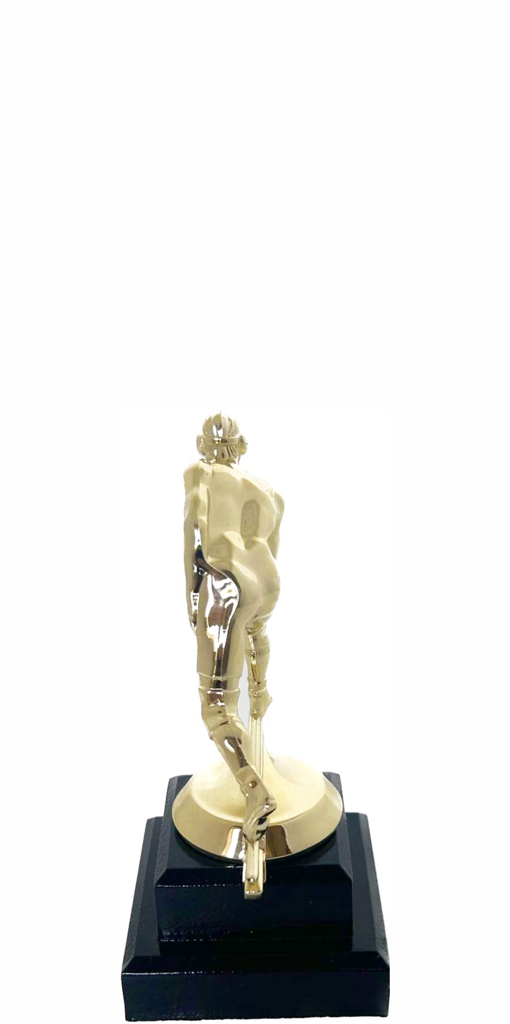 Wrestler All Star Male Trophy 180mm