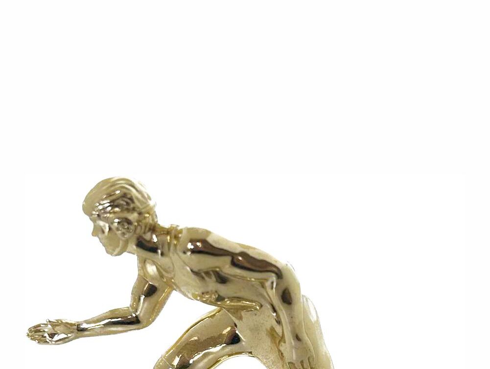 Wrestler All Star Male Trophy 155mm