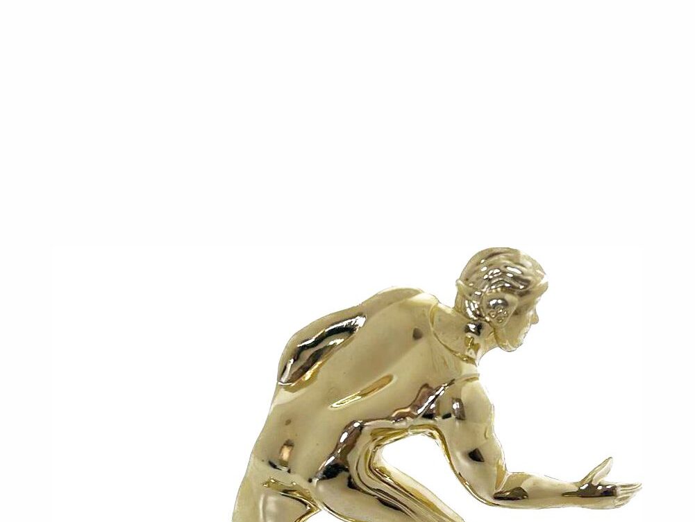 Wrestler All Star Male Trophy 155mm