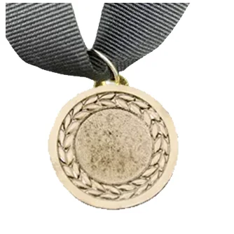 MED10 | Silver Medal 38mm X 25mm Recess