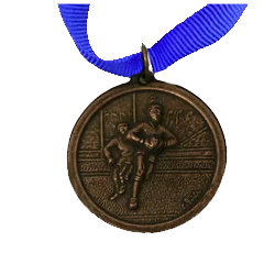Casted Bronze Medals (35mm) – No Inserts Medals