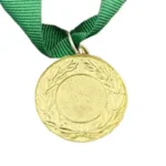 MED9 | Gold Medal 38mm X 25mm Recess - Green