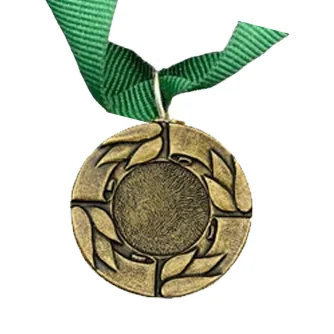 MED8 | Bronze Medal 38mm X 25mm Recess