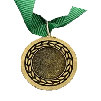 MED10 | Bronze Medal 38mm X 25mm Recess